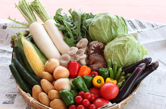 野菜イメージ