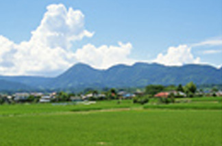 sanchi_img2.jpg