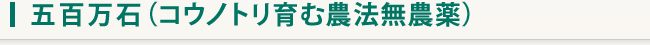 五百万石(コウノトリ育む農法無農薬)