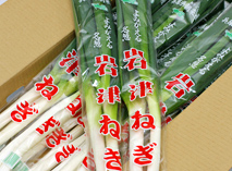 岩津ねぎ