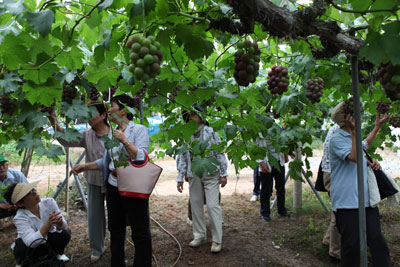 100728kenbudoutaikai.jpg