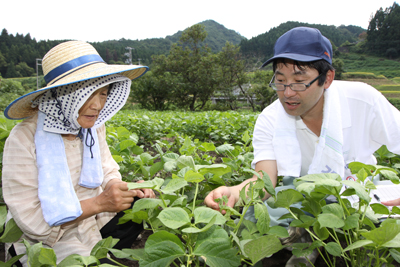 100901mikatadainagon.jpg