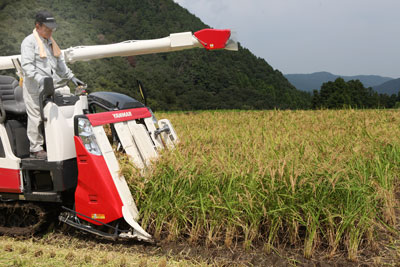 110830syusiinekari1.jpg