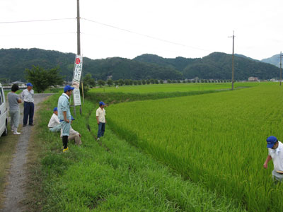 tajimamai-junnkai.jpg