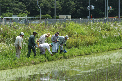 140619yabu-konotori.jpg