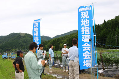 nobori.jpg