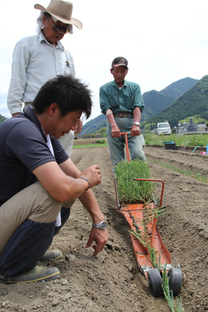 130614iwatunegi.jpg