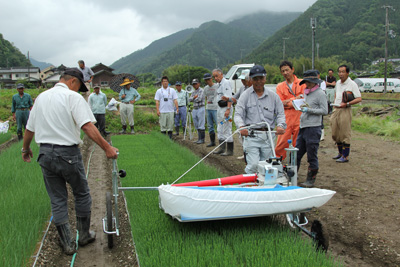 140612negi.jpg