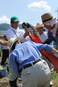 140625iwatunegi2.jpg