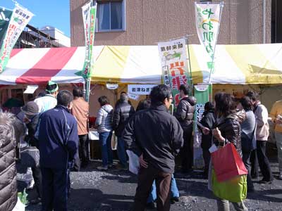 negi-sum-tento.jpg