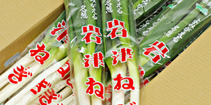 岩津ねぎ