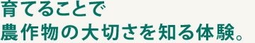 育てることで農作物の大切さを知る体験。