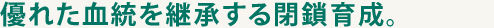 優れた血統を継承する閉鎖育成。