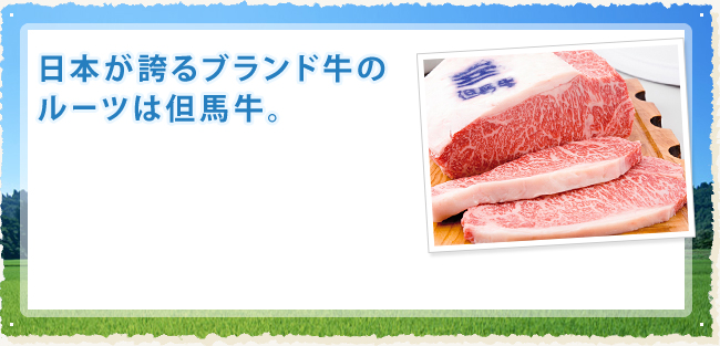 日本が誇るブランド牛のルーツは但馬牛