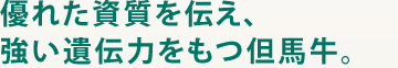 優れた資質を伝え、強い遺伝力をもつ但馬牛。
