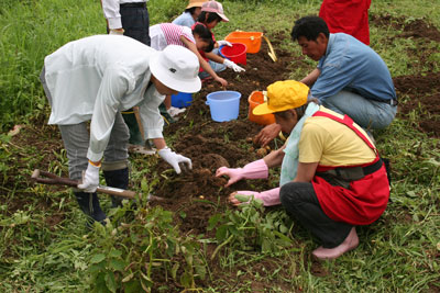 070707toriiyasuragi-natunos.jpg