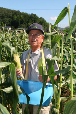 070724suitokon.jpg
