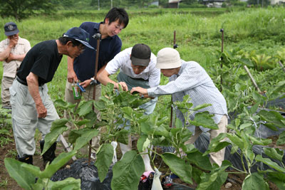 070726sirukunasu.jpg