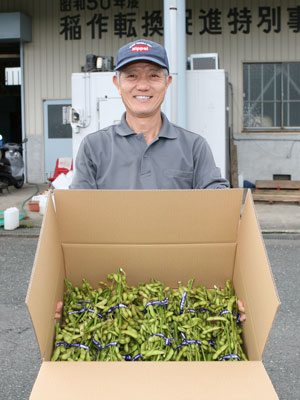 070808yabusiedamamewase.jpg