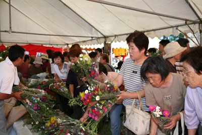070812hatijyouasaiti01.jpg