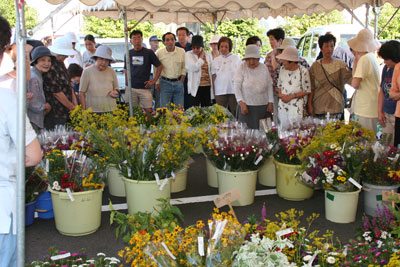 070812toyookakitaasaiti1.jpg