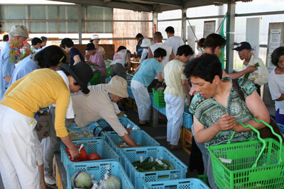 070812toyookakitaasaiti2.jpg