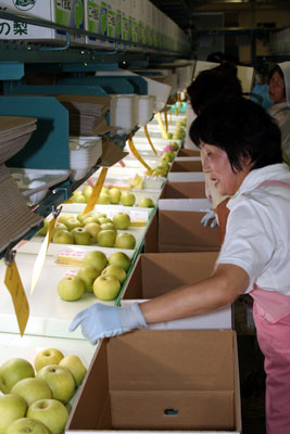 070828kasuminasi2.jpg
