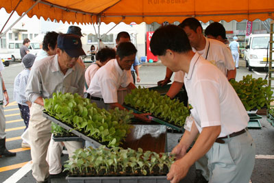 070831toyookaakiyasainae.jpg