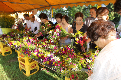 090812hatijyou1.jpg