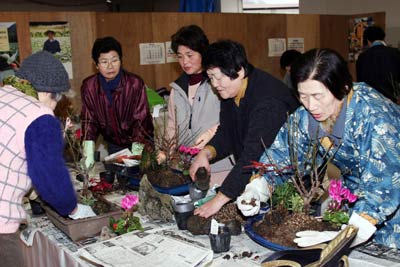 hidakanouenkyousitu_yoseue.jpg