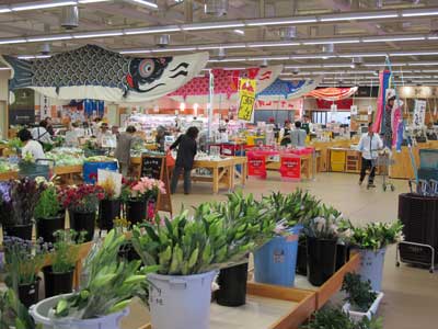 120501tajimanma.jpg