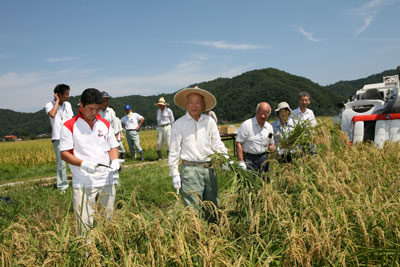 070911koudani_gohyaku_ineka.jpg