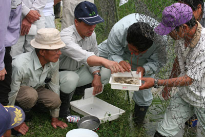 D070708nakagawati-ikimonoty.jpg