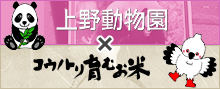 上野動物園（パンダだんご）×コウノトリのまち（コウノトリ育むお米）