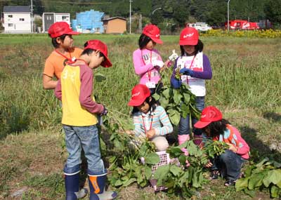 111016wadayama1.jpg