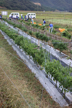111022aguri2.jpg