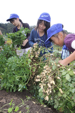 111022aguri5.jpg