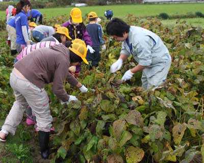 agri111120-hatori.jpg