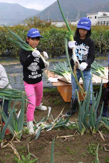 agri111120-negi.jpg