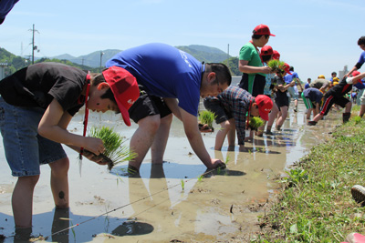 130513taue.jpg