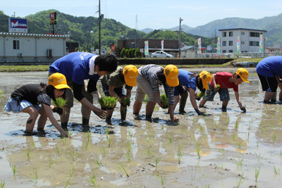 130513taue2.jpg