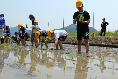 140523taue3.jpg