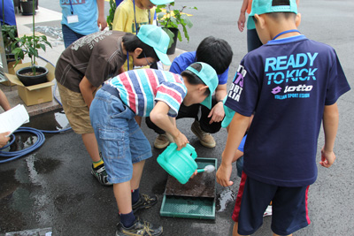 140622hirotani-hasyu3.jpg