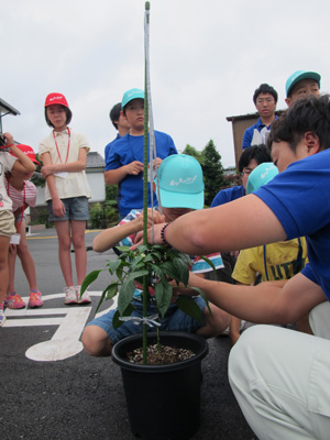 140622hirotani-pman2.jpg