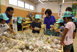 kaimono1.jpg