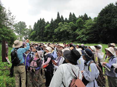 140614walk8.jpg