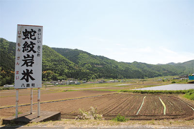 蛇紋岩米