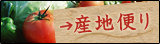 産地便り