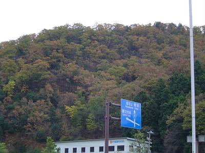 DSC00508-s.JPG