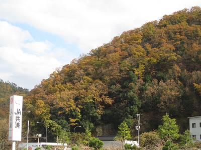 IMG_0651-s.JPG
